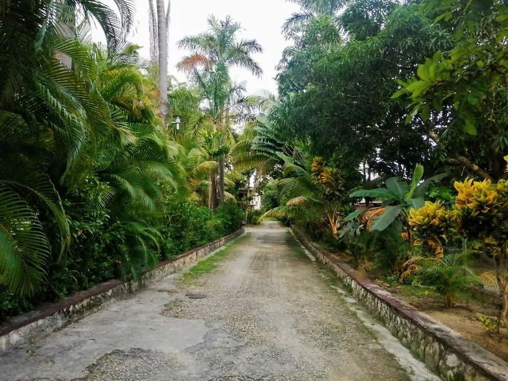 Ambitious Resort 2*, Negril Jamaica